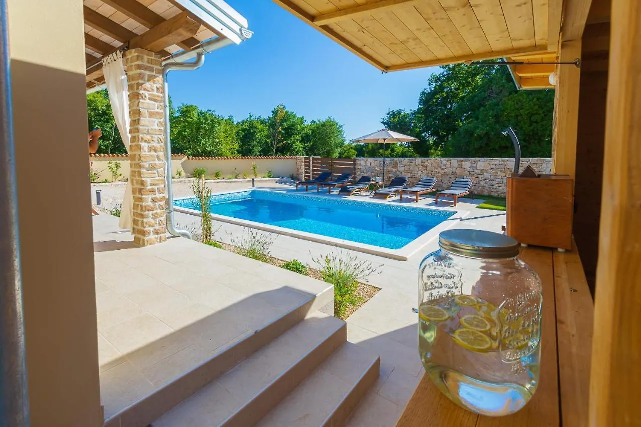 Villa David - Luxurious Secluded Villa With A Heated Pool Butkovici